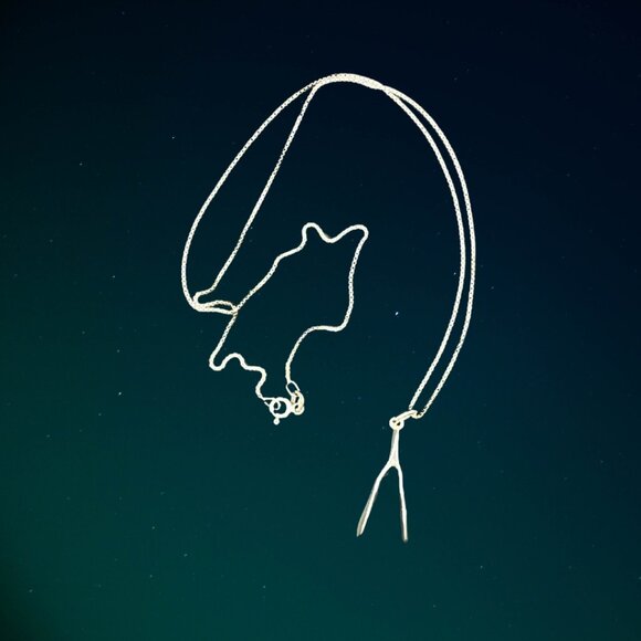 Sterling Silver Box Chain Necklace with Wishbone Pendant - Picture 1 of 8